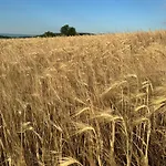 Csipetnyi Chill Vendeghaz Вилла