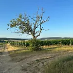 Csipetnyi Chill Vendeghaz Вилла