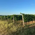 Вилла Csipetnyi Chill Vendeghaz Obudavar