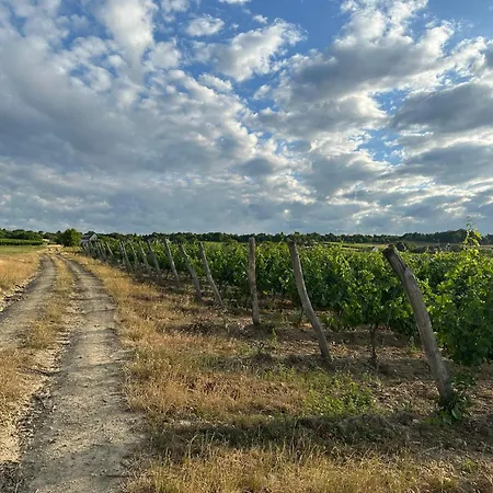 Csipetnyi Chill Vendeghaz Vilă Obudavar