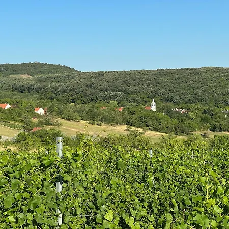 Csipetnyi Chill Vendeghaz Vilă Obudavar