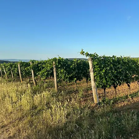 Villa Csipetnyi Chill Obudavar