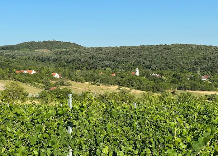 Csipetnyi Chill Villa Obudavar
